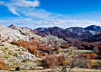 Velebit-marin