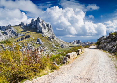 Velebit-tulove