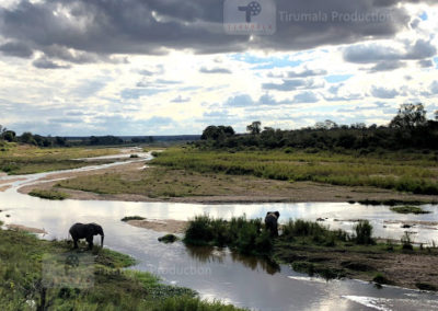 Kruger National Park (2)